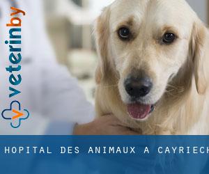 Hôpital des animaux à Cayriech