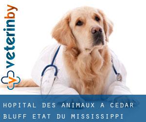 Hôpital des animaux à Cedar Bluff (État du Mississippi)