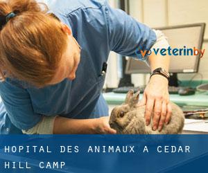 Hôpital des animaux à Cedar Hill Camp