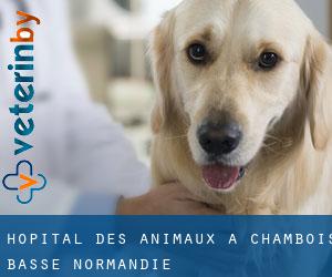 Hôpital des animaux à Chambois (Basse-Normandie)