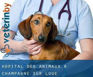 Hôpital des animaux à Champagne-sur-Loue