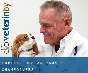 Hôpital des animaux à Champdivers