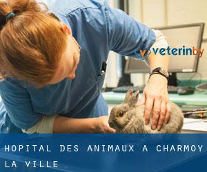 Hôpital des animaux à Charmoy-la-Ville
