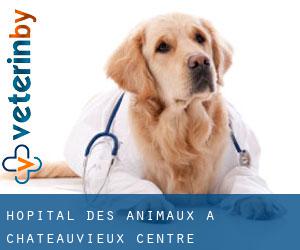 Hôpital des animaux à Châteauvieux (Centre)