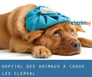 Hôpital des animaux à Chaux-lès-Clerval