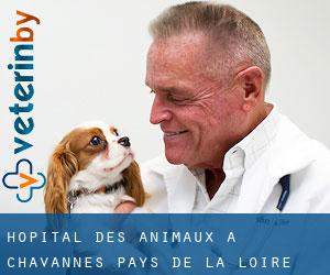 Hôpital des animaux à Chavannes (Pays de la Loire)