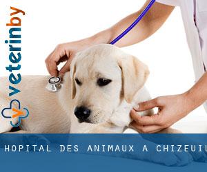 Hôpital des animaux à Chizeuil