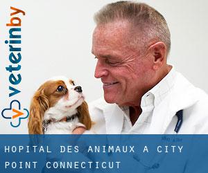 Hôpital des animaux à City Point (Connecticut)