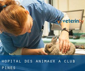 Hôpital des animaux à Club Pines