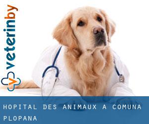 Hôpital des animaux à Comuna Plopana