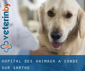 Hôpital des animaux à Condé-sur-Sarthe