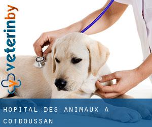 Hôpital des animaux à Cotdoussan