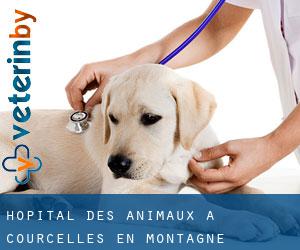 Hôpital des animaux à Courcelles-en-Montagne