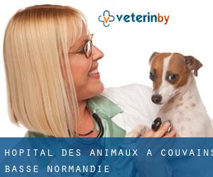 Hôpital des animaux à Couvains (Basse-Normandie)