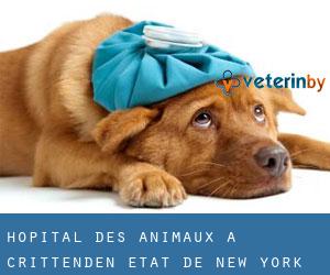 Hôpital des animaux à Crittenden (État de New York)