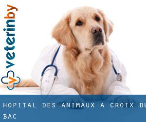 Hôpital des animaux à Croix-du-Bac