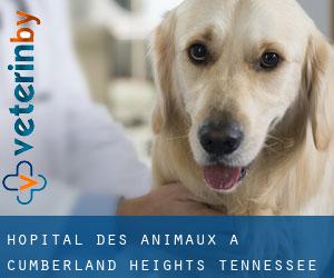 Hôpital des animaux à Cumberland Heights (Tennessee)