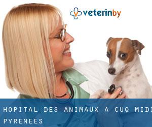 Hôpital des animaux à Cuq (Midi-Pyrénées)