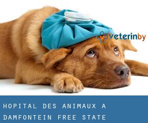 Hôpital des animaux à Damfontein (Free State)