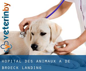 Hôpital des animaux à De Broeck Landing