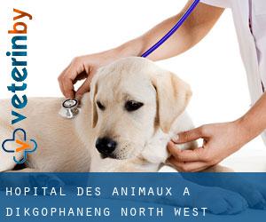 Hôpital des animaux à Dikgophaneng (North-West)