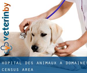 Hôpital des animaux à Domaines (census area)