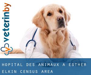 Hôpital des animaux à Esther-Elkin (census area)
