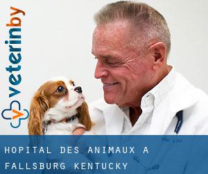 Hôpital des animaux à Fallsburg (Kentucky)