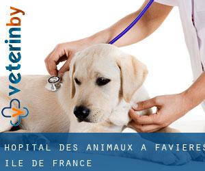 Hôpital des animaux à Favières (Île-de-France)