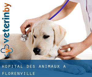 Hôpital des animaux à Florenville