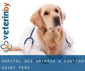 Hôpital des animaux à Fontenay-Saint-Père