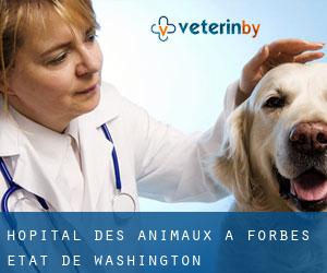Hôpital des animaux à Forbes (État de Washington)