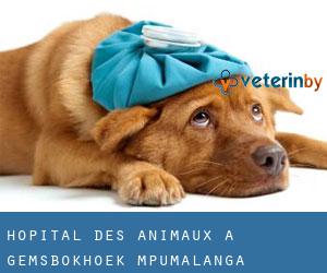 Hôpital des animaux à Gemsbokhoek (Mpumalanga)