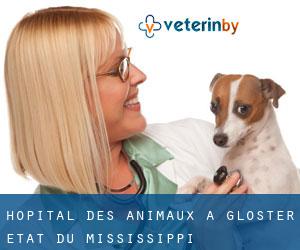 Hôpital des animaux à Gloster (État du Mississippi)