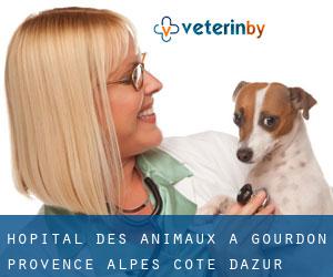 Hôpital des animaux à Gourdon (Provence-Alpes-Côte d'Azur)