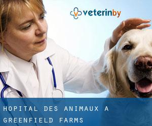Hôpital des animaux à Greenfield Farms