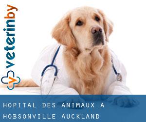Hôpital des animaux à Hobsonville (Auckland)