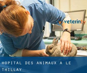 Hôpital des animaux à Le Thillay