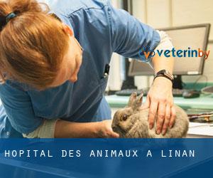 Hôpital des animaux à Linan