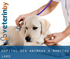 Hôpital des animaux à Manitou Lake
