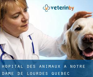 Hôpital des animaux à Notre-Dame-de-Lourdes (Québec)