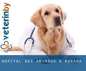 Hôpital des animaux à Roxana