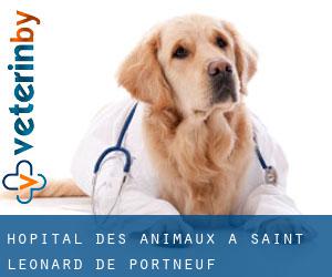 Hôpital des animaux à Saint-Léonard-de-Portneuf