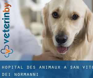 Hôpital des animaux à San Vito dei Normanni