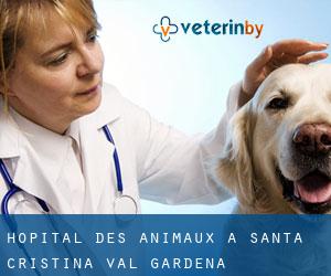 Hôpital des animaux à Santa Cristina Val Gardena