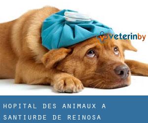 Hôpital des animaux à Santiurde de Reinosa