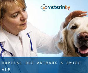 Hôpital des animaux à Swiss Alp