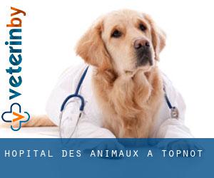 Hôpital des animaux à Topnot