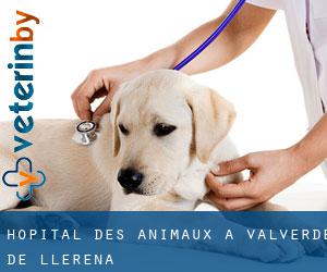 Hôpital des animaux à Valverde de Llerena