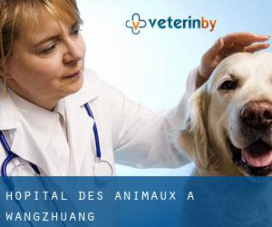 Hôpital des animaux à Wangzhuang